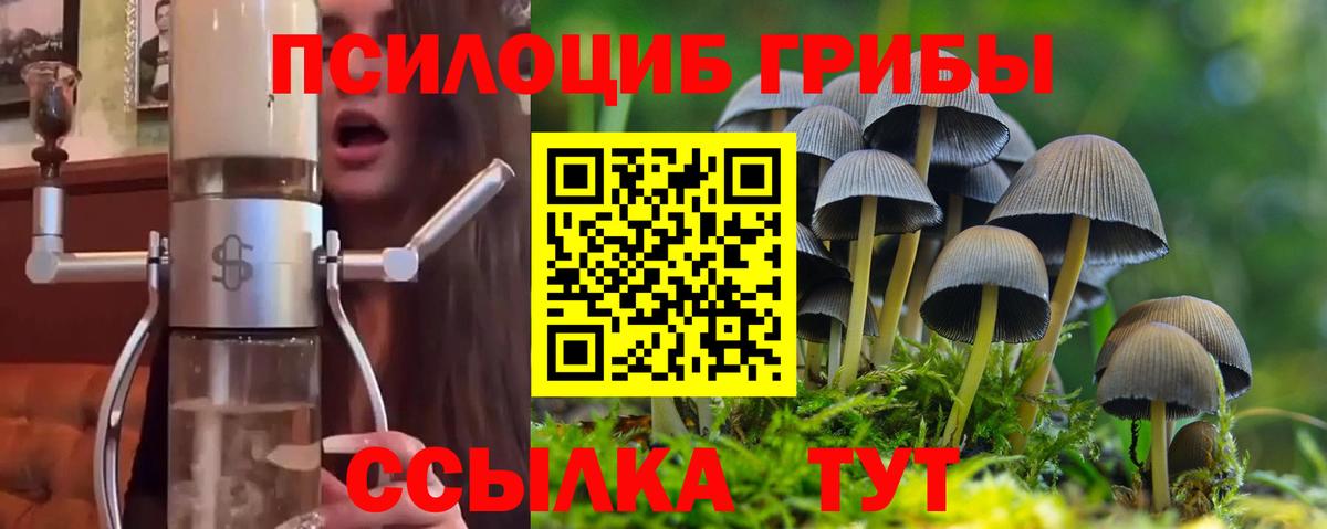 Псилоцибиновые грибы Psilocybine cubensis Кострома